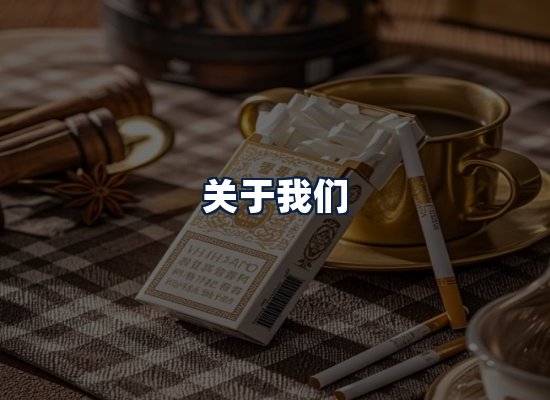 关于我们